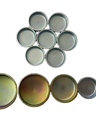 Engine Freeze Plug Kit
